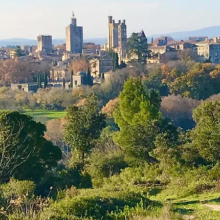 Maison De Roche-uzes Centre Historique L' Ucetia * Uzès